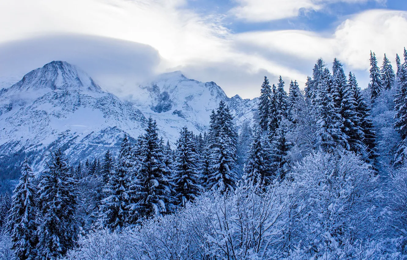 Photo wallpaper winter, forest, the sky, clouds, snow, trees, mountains, nature