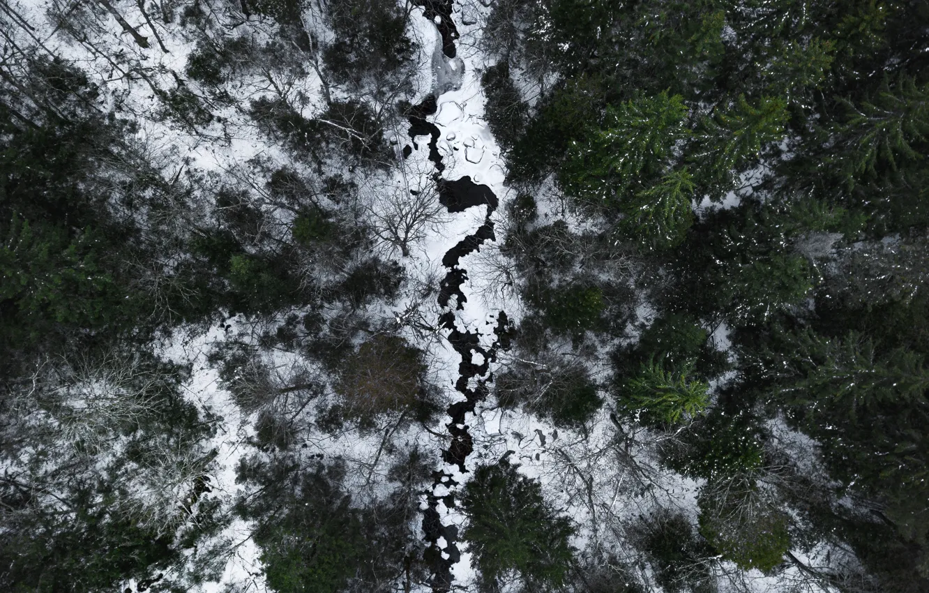 Photo wallpaper winter, forest, snow, trees, landscape, nature, river, the view from the top