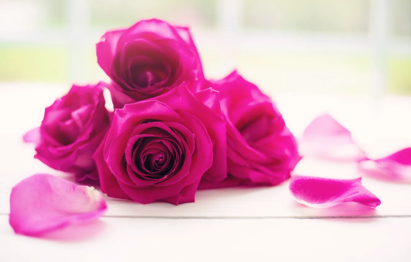 Photo wallpaper flower, rose, Bud