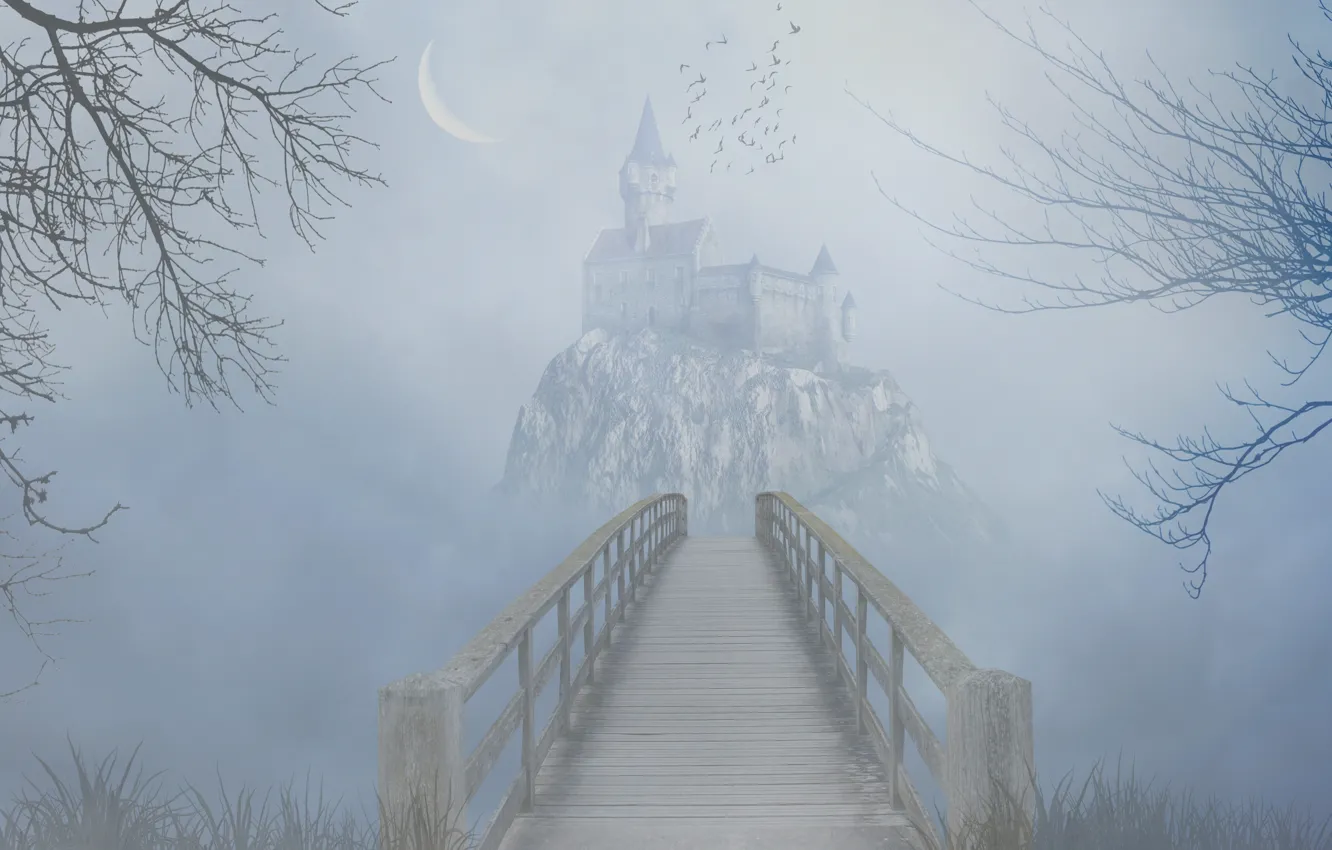 Photo wallpaper grass, trees, birds, bridge, fog, rock, castle, the darkness