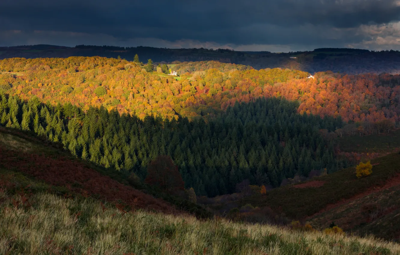 Photo wallpaper autumn, forest, the sky, trees, clouds, hills, England, the evening
