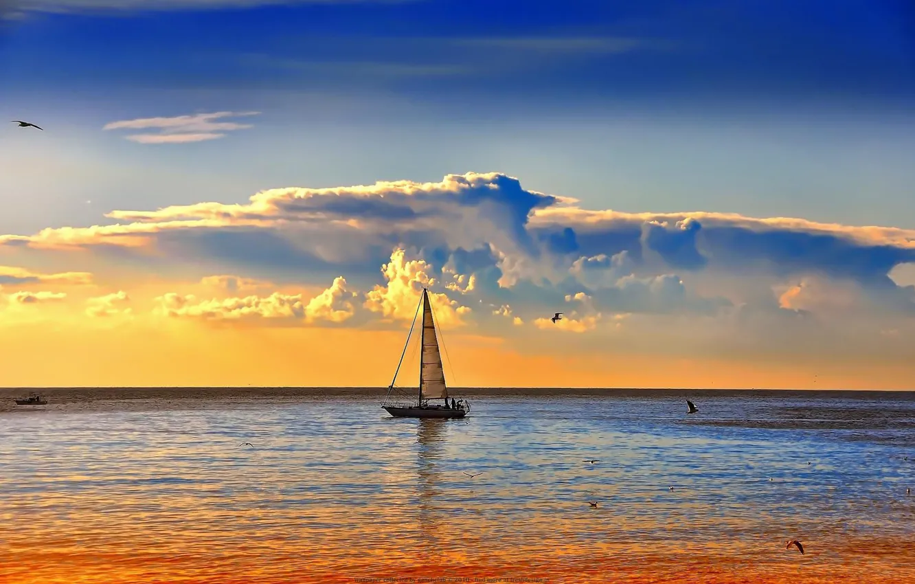 Photo wallpaper sea, the sky, clouds, the ocean, dawn, bird, yacht, horizon