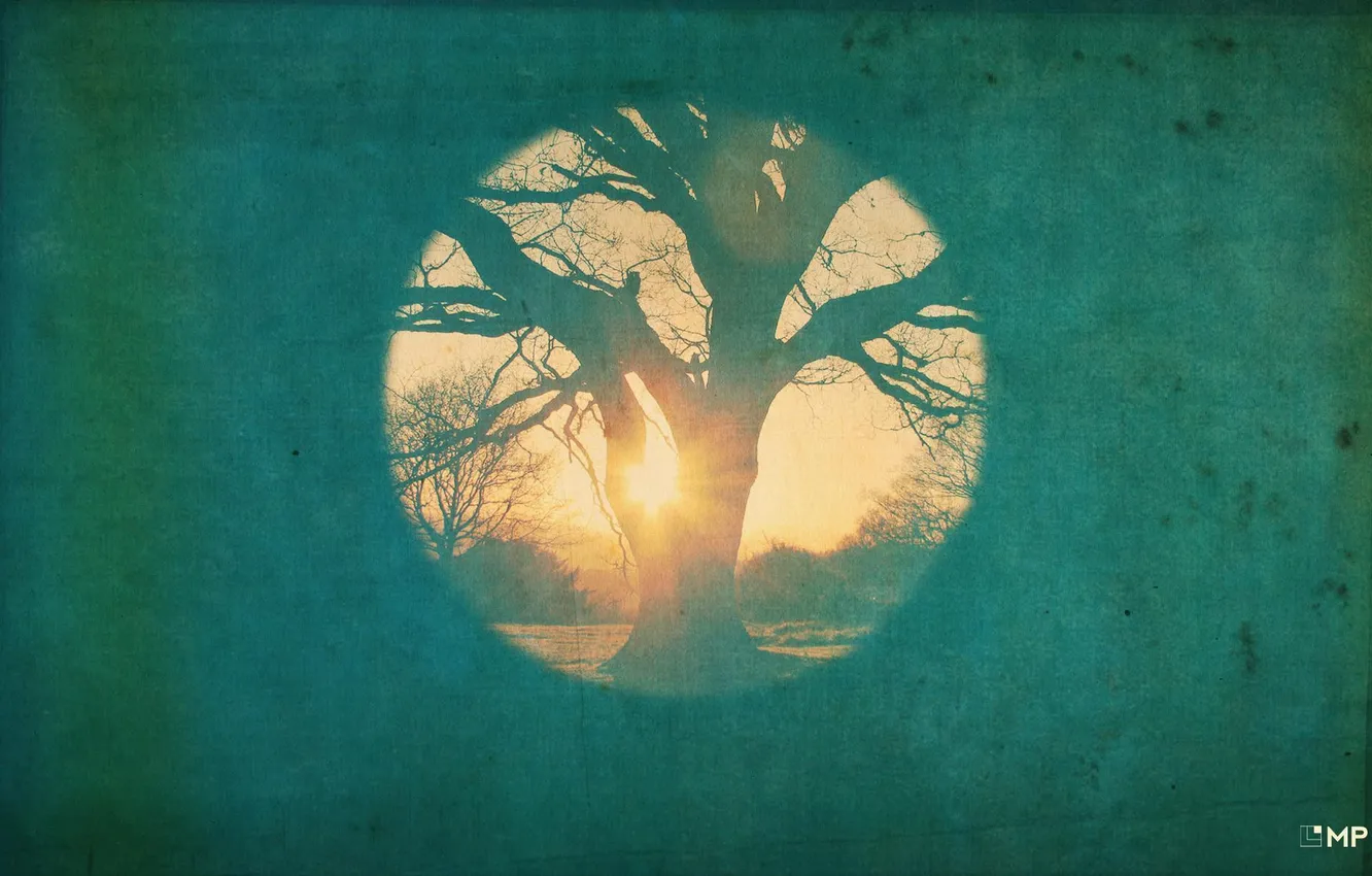 Photo wallpaper trees, style, reflection, creative, color, art, spotlight