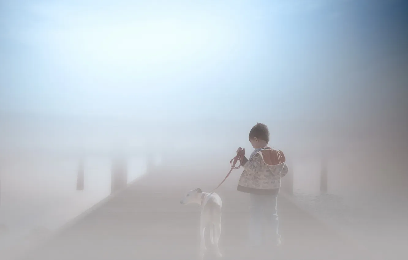 Photo wallpaper fog, dog, boy