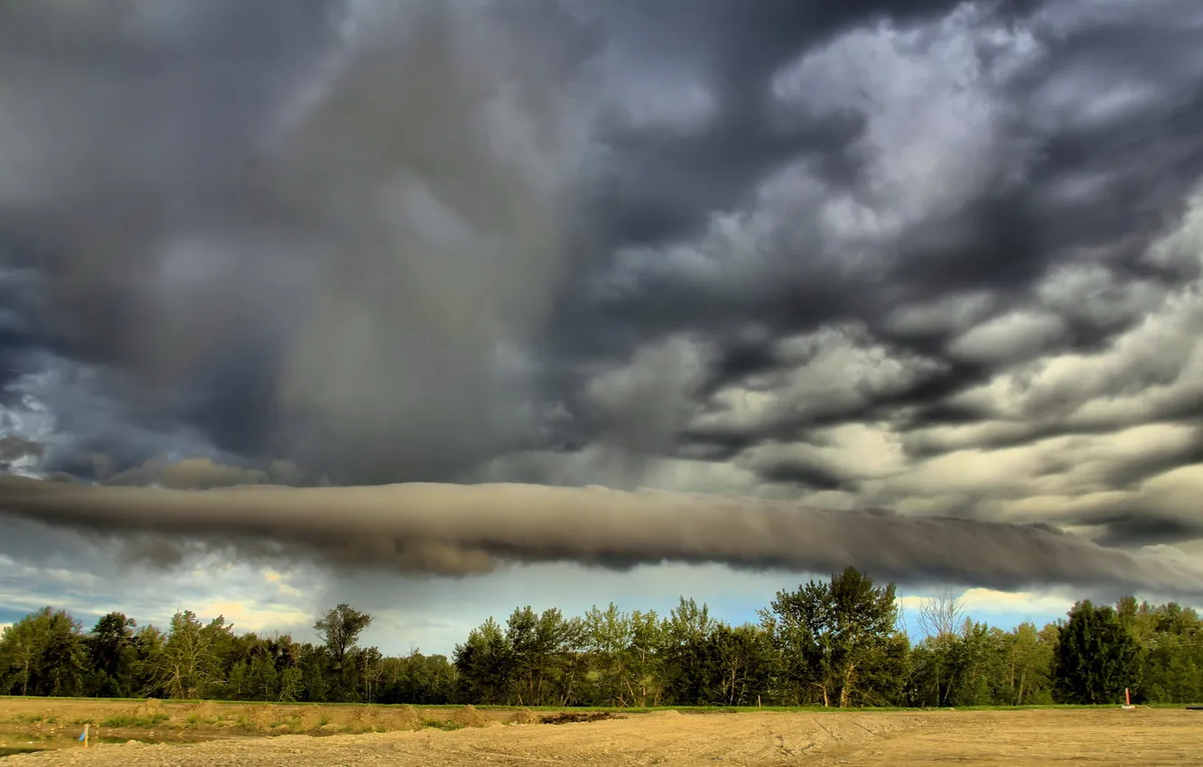 Photo wallpaper field, summer, the sky, landscape