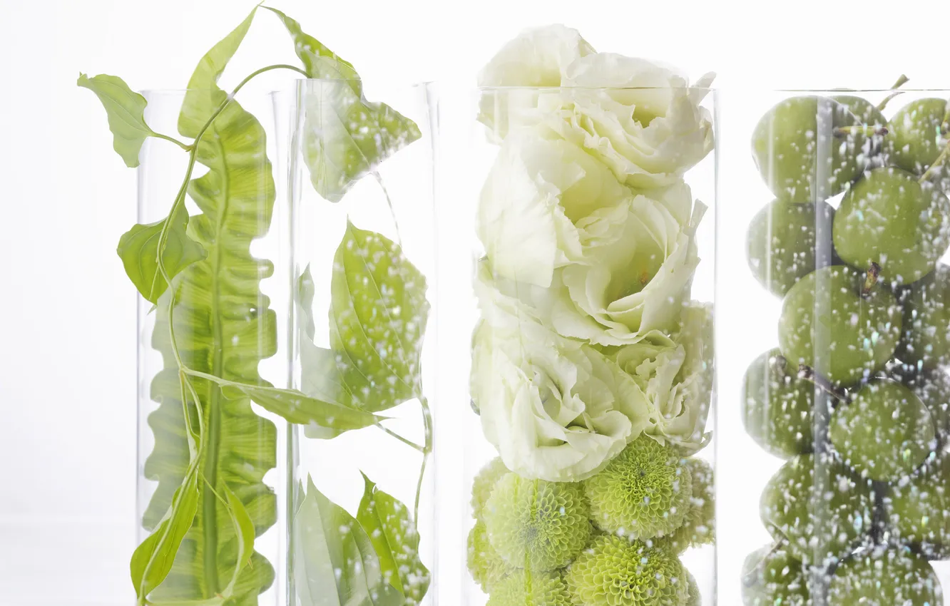 Photo wallpaper white, flowers, transparent, box, apples, plant