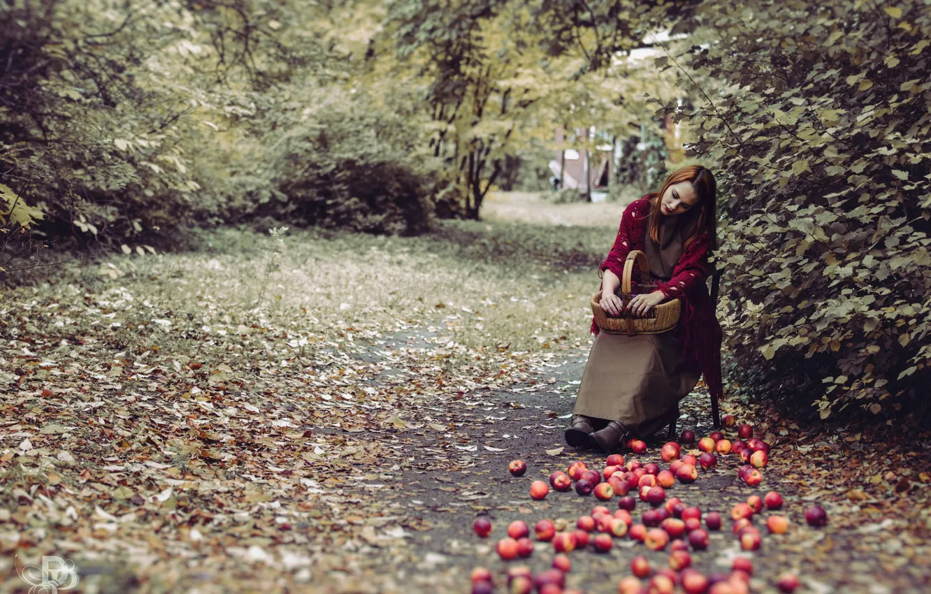 Photo wallpaper girl, nature, apples