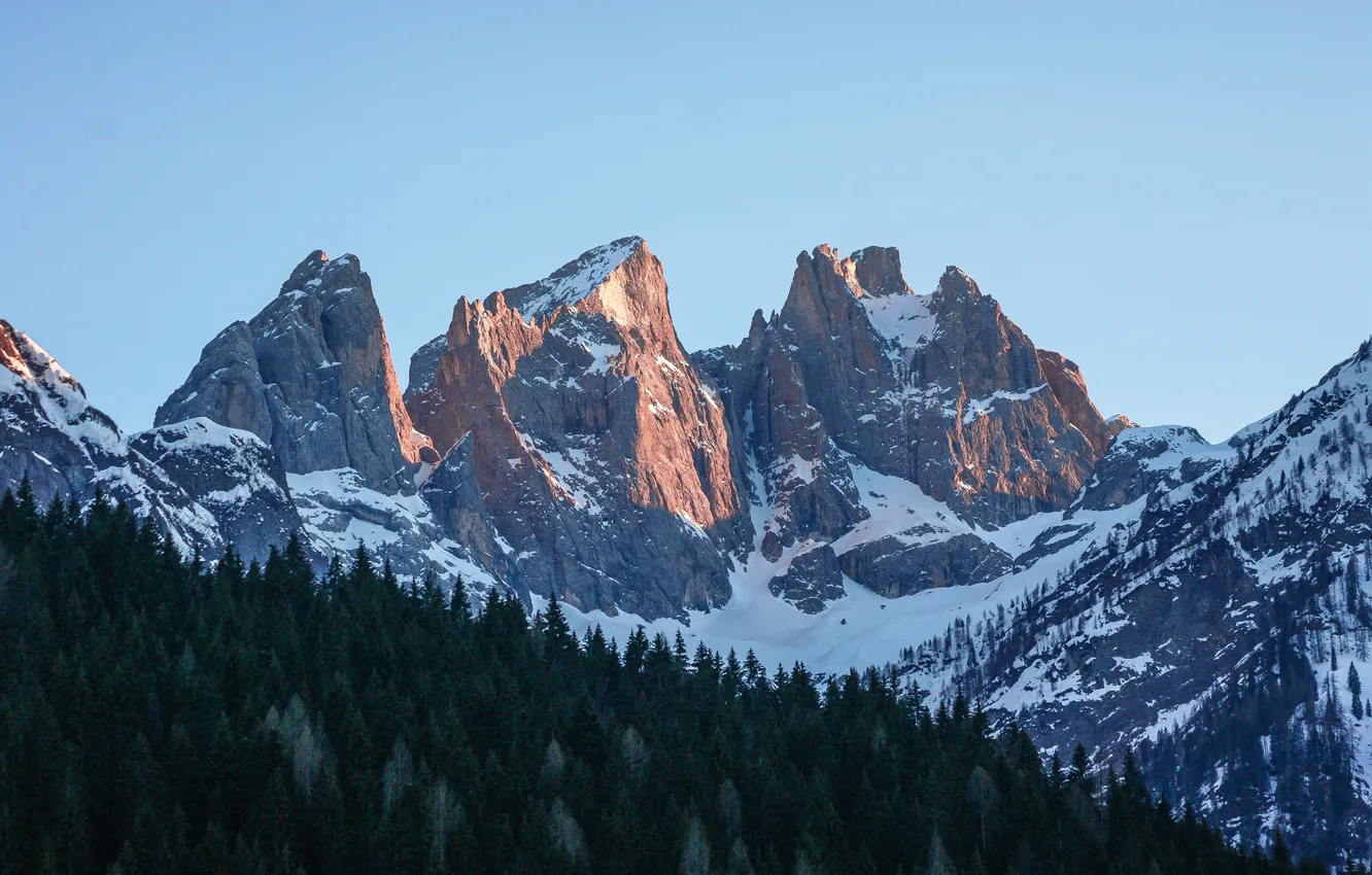Photo wallpaper forest, the sky, landscape, mountains, Italy, Mountain peaks