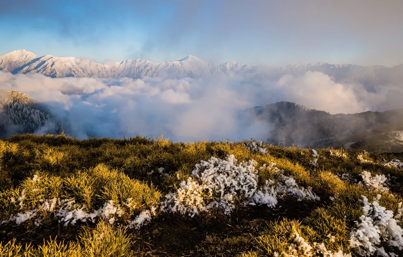 Photo wallpaper cold, winter, frost, autumn, the sky, grass, light, snow