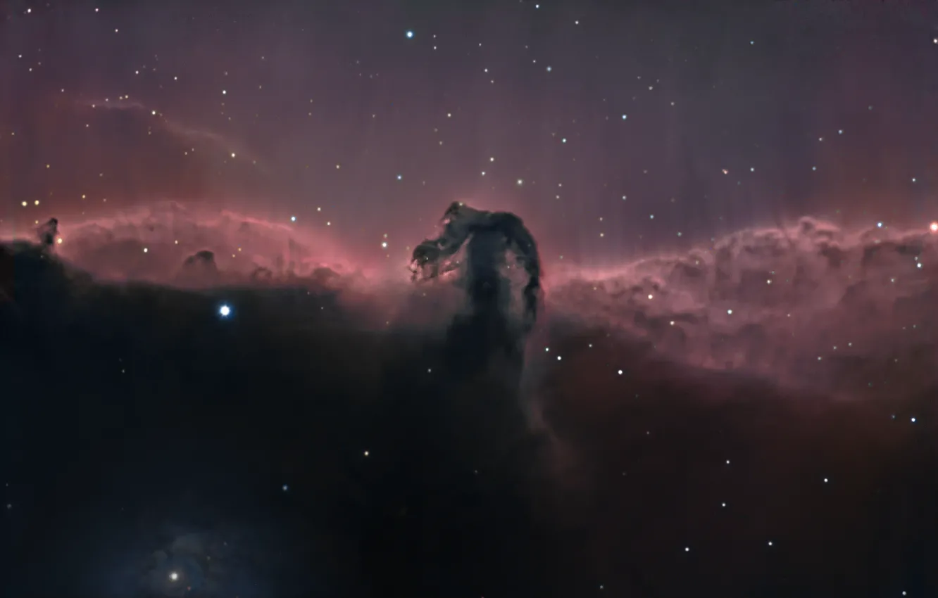 Photo wallpaper nebula, dark, Horse Head, Orion, in the constellation