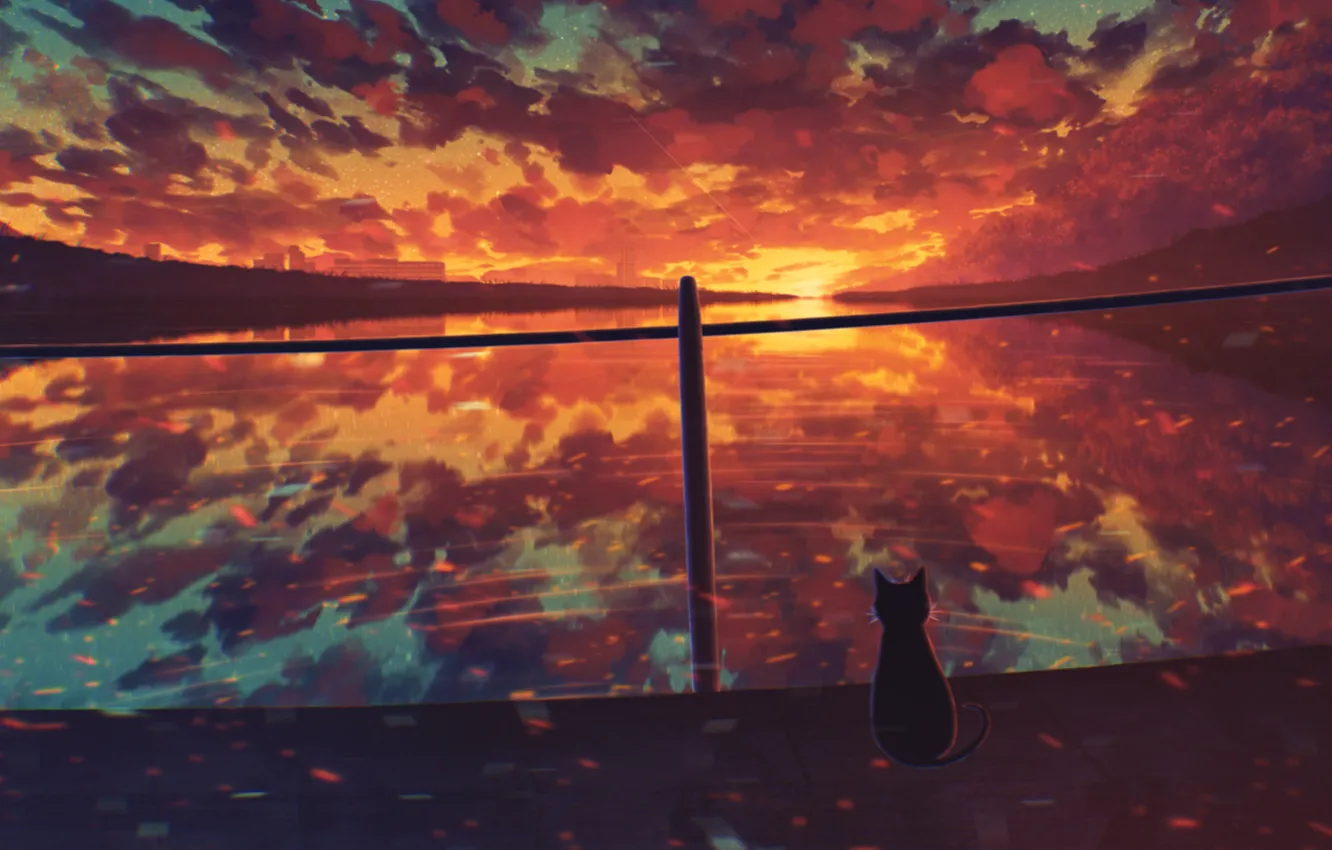 Photo wallpaper cat, water, sunset, by Miloecute