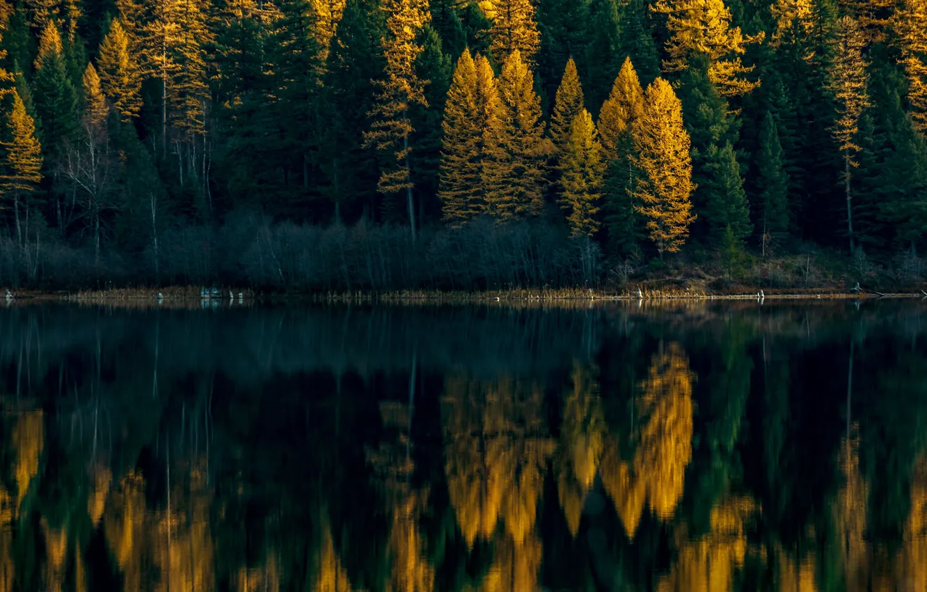 Photo wallpaper autumn, forest, water, reflection, shore, ate, pond, water surface