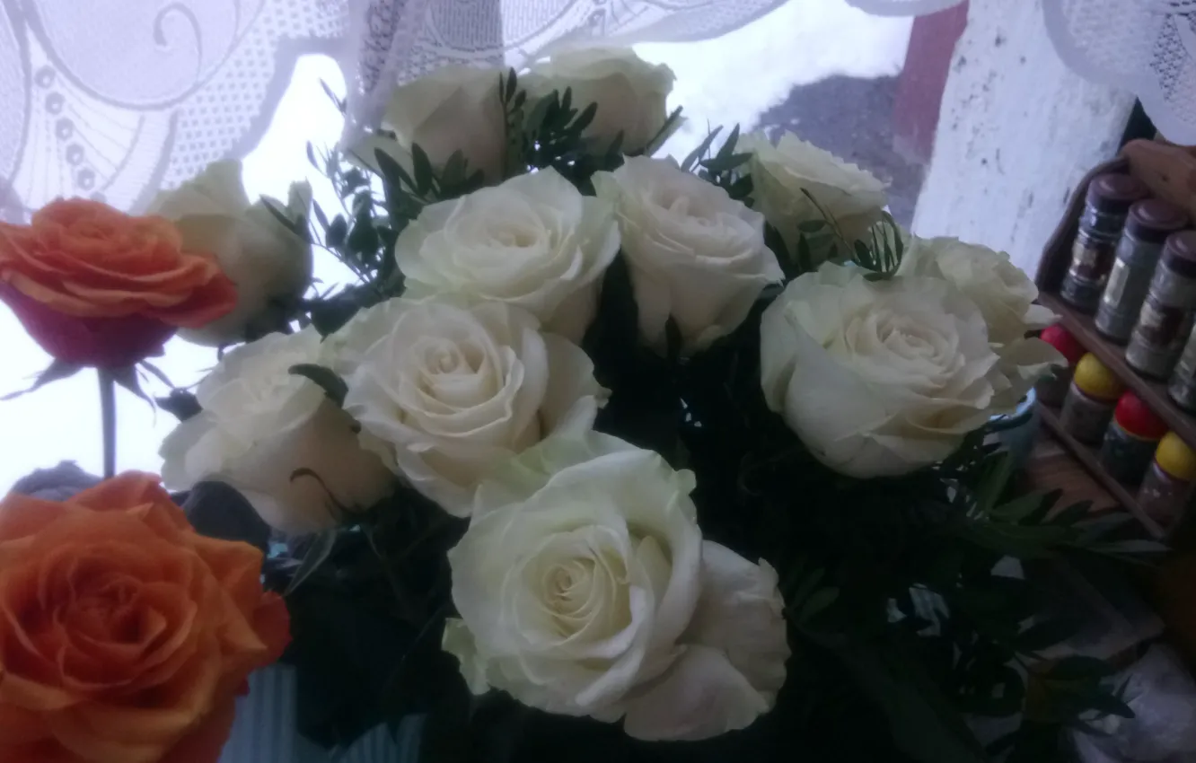 Photo wallpaper flowers, Roses, white