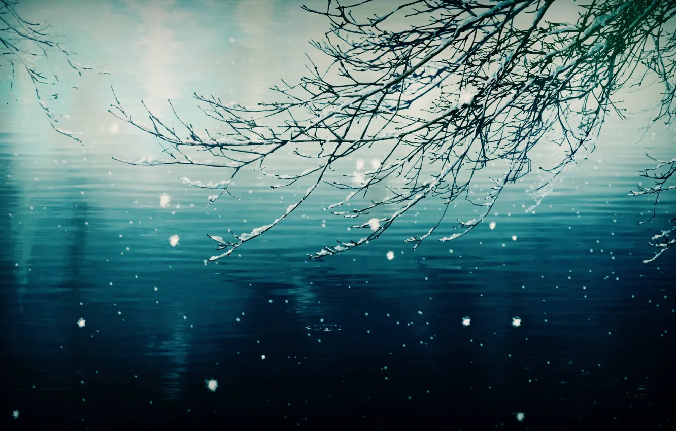 Photo wallpaper cold, winter, water, snow, snowflakes, branches, ruffle, winter