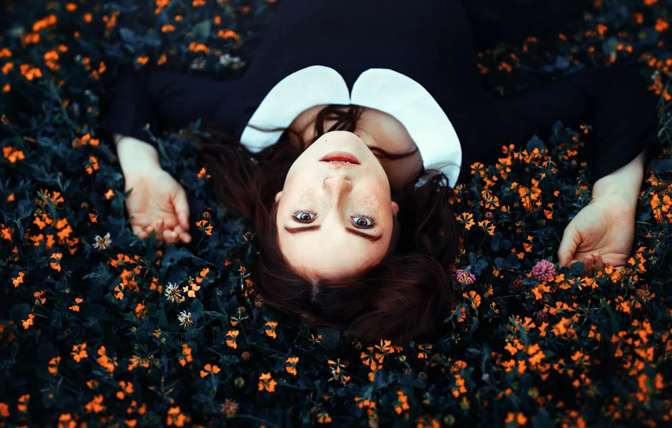 Photo wallpaper look, girl, flowers, face, mood, hands, Antonia Clio Cardenas