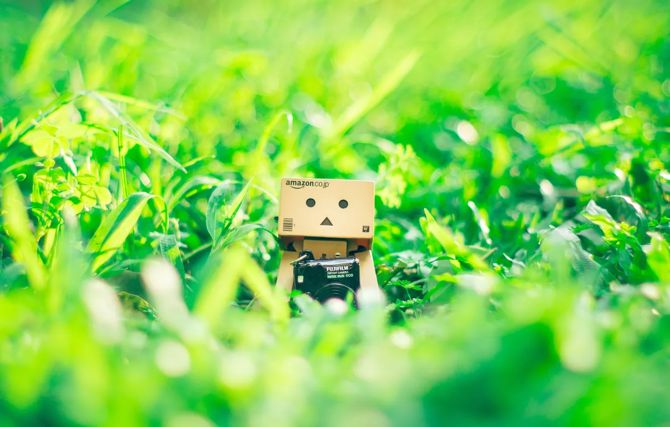 Photo wallpaper grass, danbo, danbo, amazon