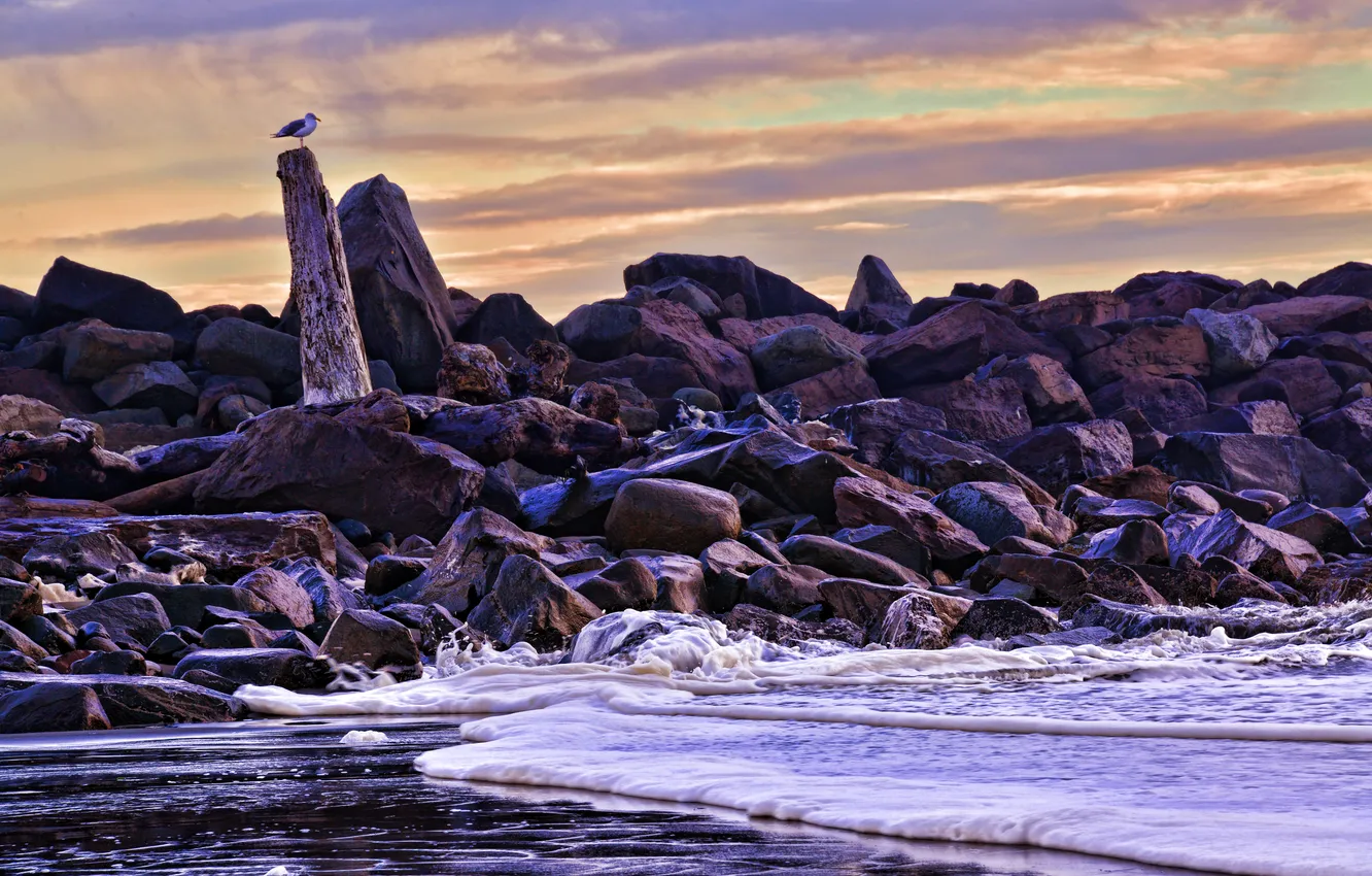 Photo wallpaper sea, the sky, clouds, stones, bird, snag