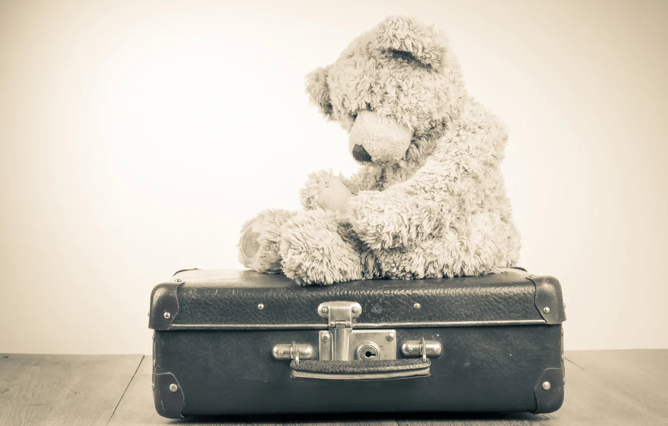 Photo wallpaper sadness, loneliness, toy, bear, bear, suitcase, toy, bear