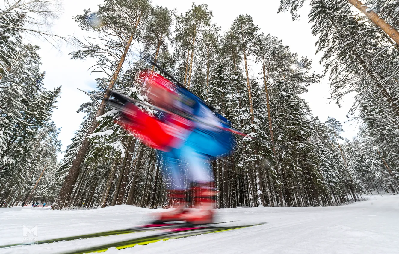 Photo wallpaper winter, forest, speed, biathlon, biathlete
