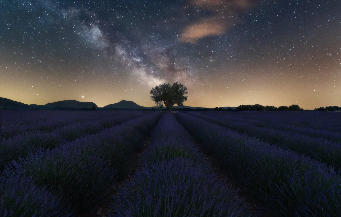 Photo wallpaper field, summer, the sky, space, stars, trees, flowers, mountains