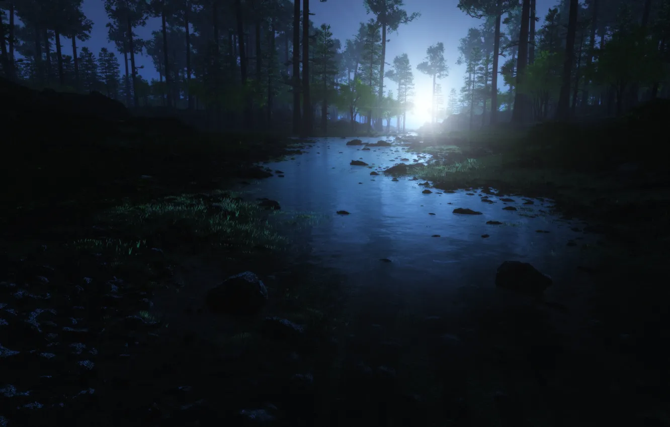 Photo wallpaper forest, water, trees, stones, dawn, morning