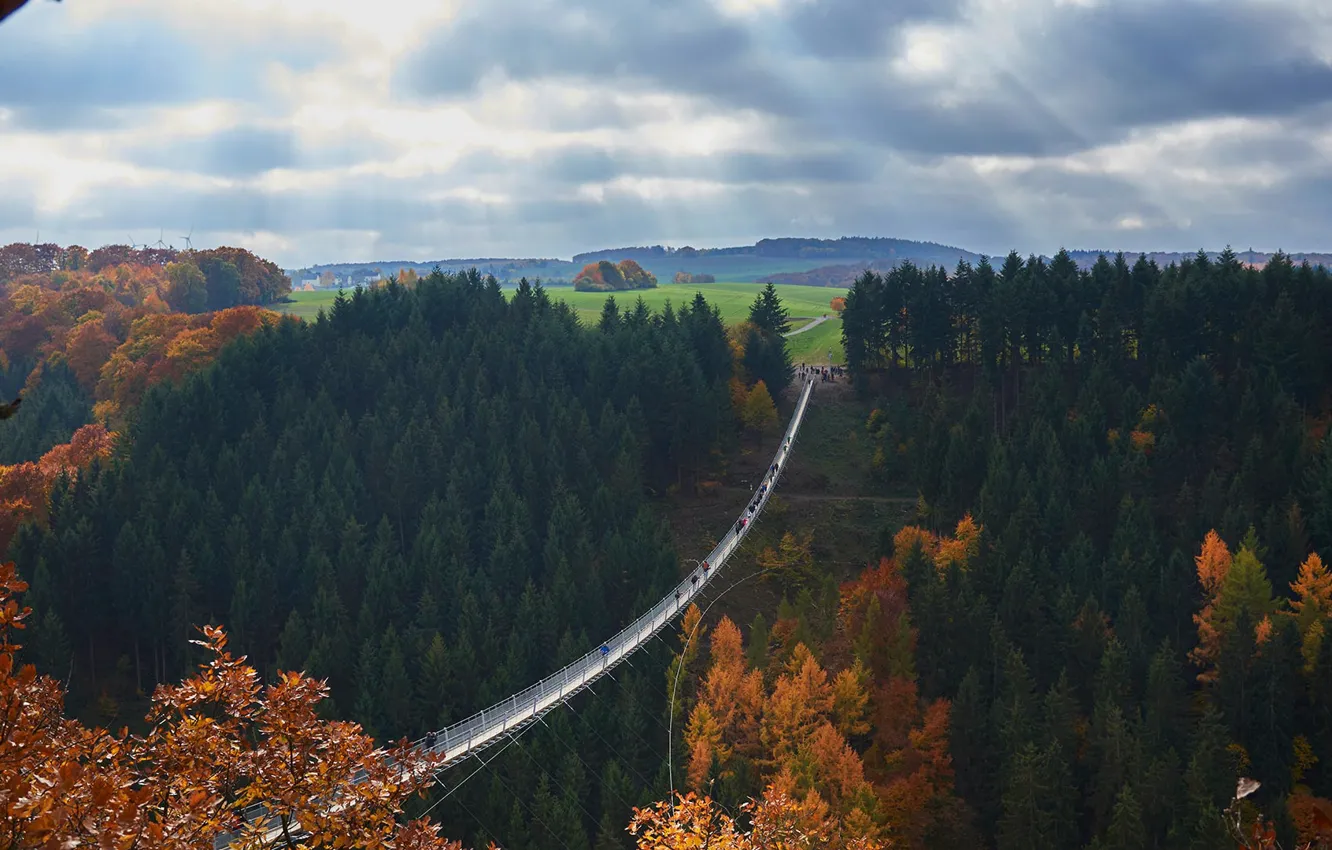 Photo wallpaper Germany, suspension bridge, Geierlay, Rhineland-Palatinate