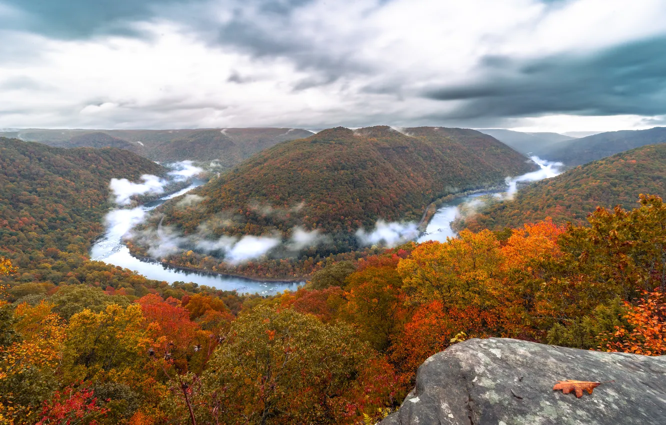 Photo wallpaper autumn, forest, nature, fog, river
