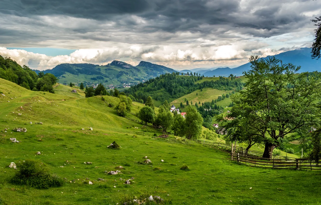 Photo wallpaper greens, grass, clouds, trees, mountains, field, meadows, Romania