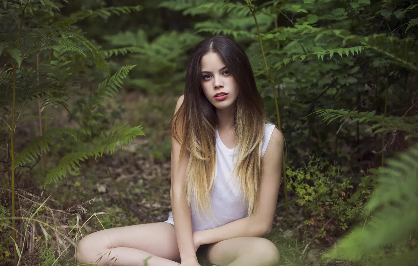 Photo wallpaper forest, girl, pose, sitting