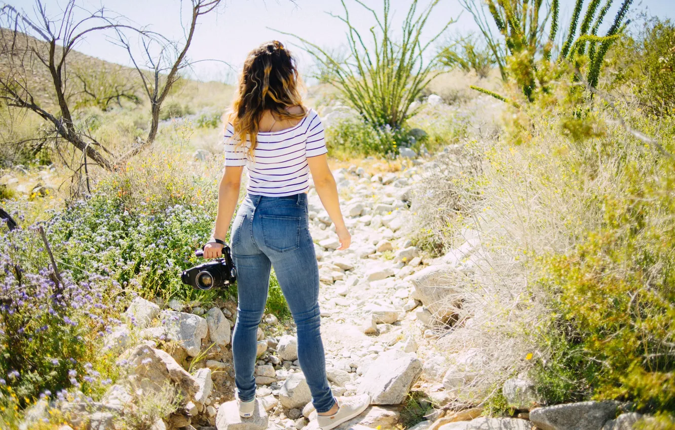 Photo wallpaper girl, the sun, flowers, nature, stones, back, jeans, the camera