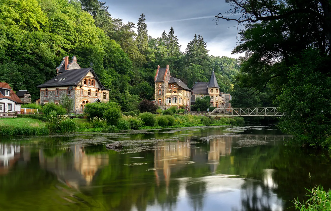 Photo wallpaper greens, forest, summer, trees, bridge, river, home, Germany