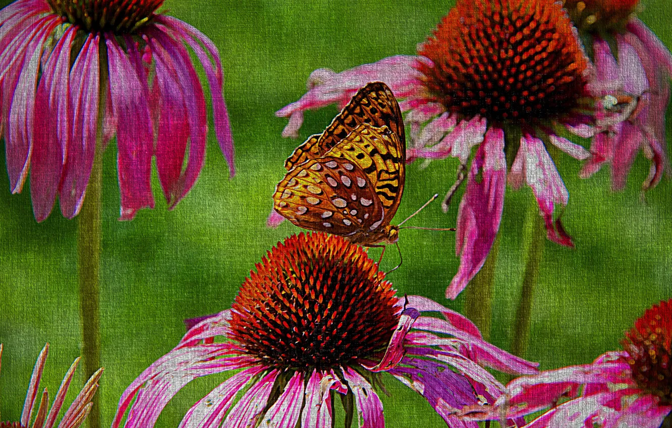 Photo wallpaper flowers, nature, butterfly, canvas