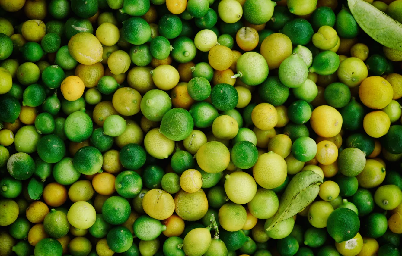 Photo wallpaper green, fruit, lime, citrus, fruit