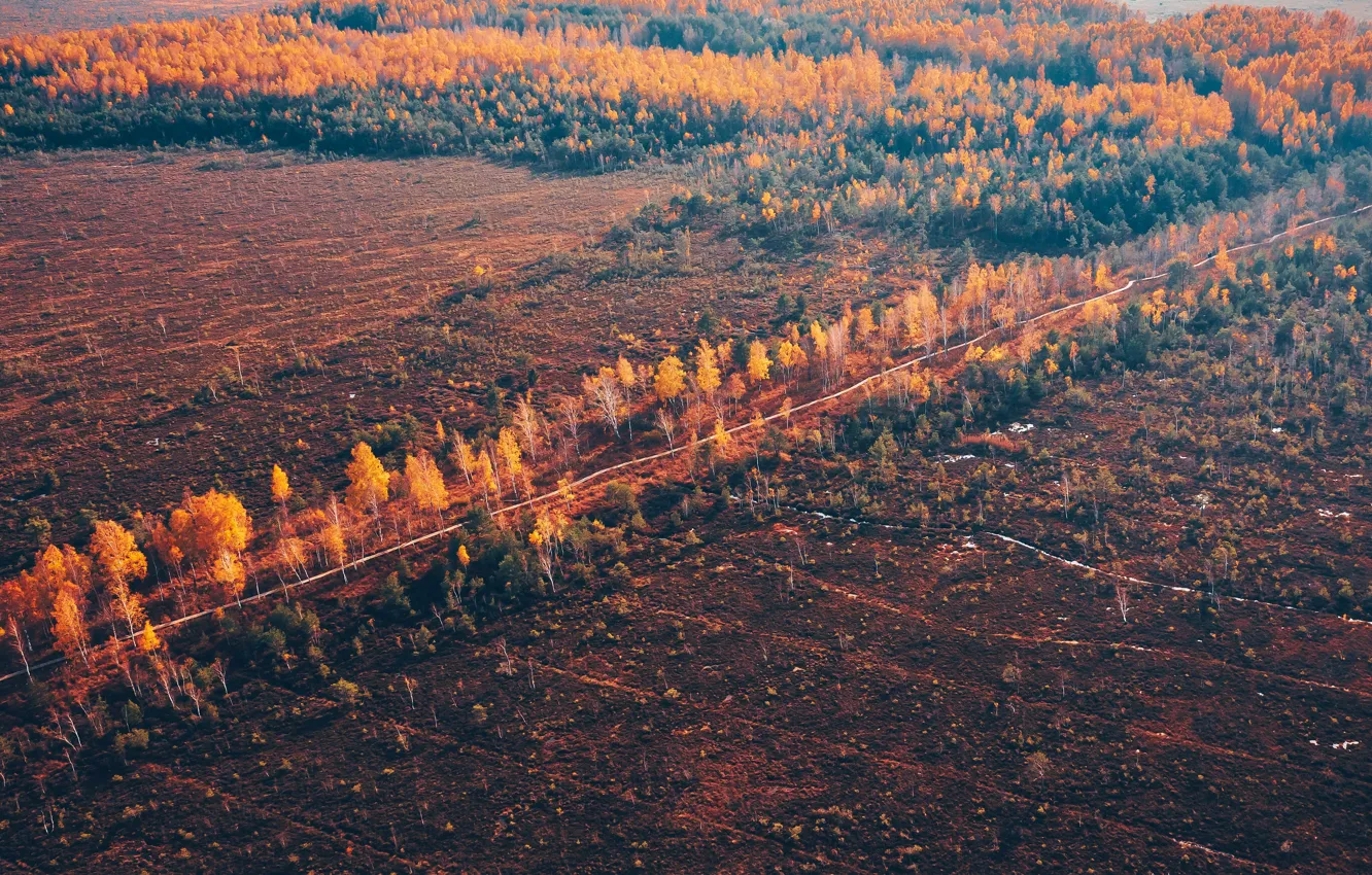 Photo wallpaper field, autumn, nature