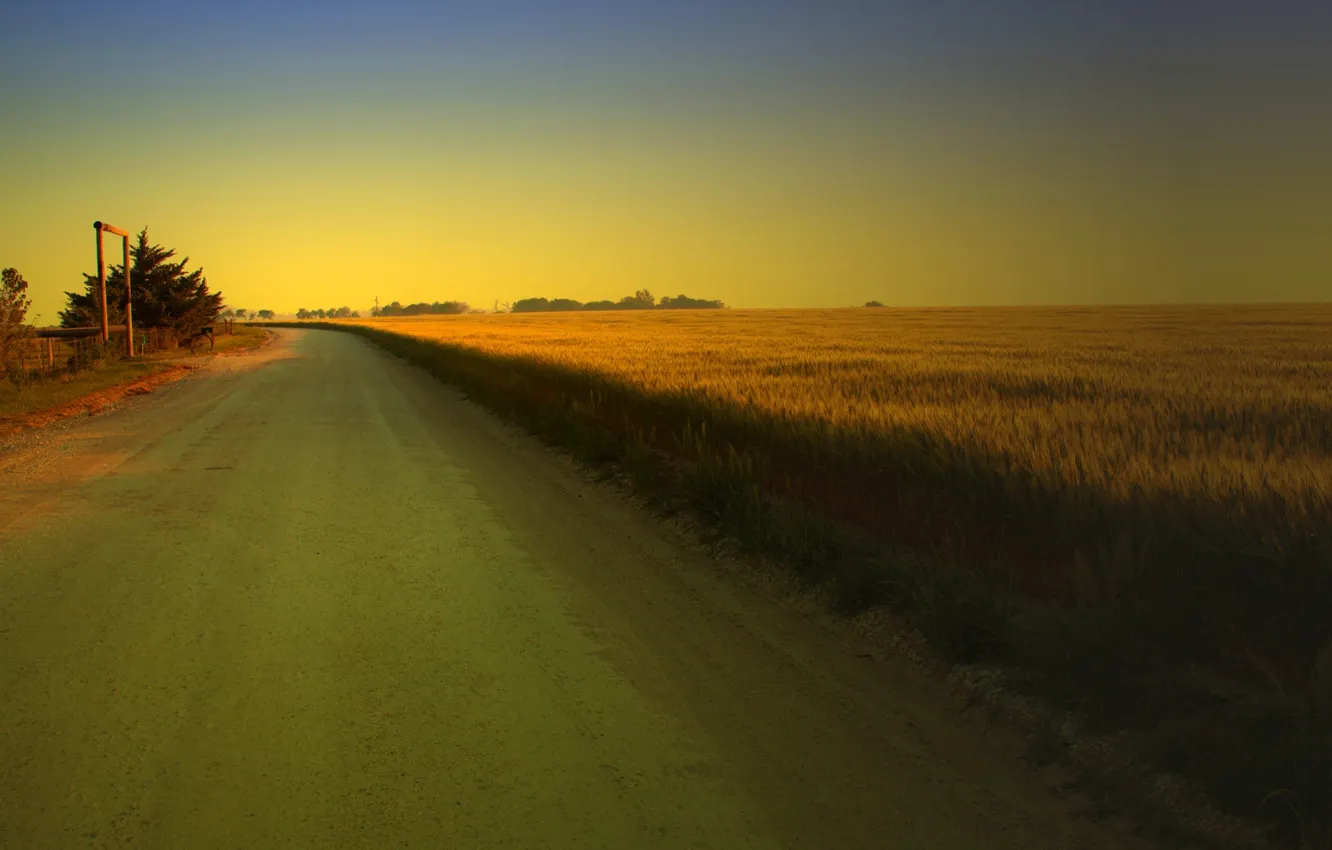 Photo wallpaper road, greens, field, trees, landscape, nature, background, widescreen