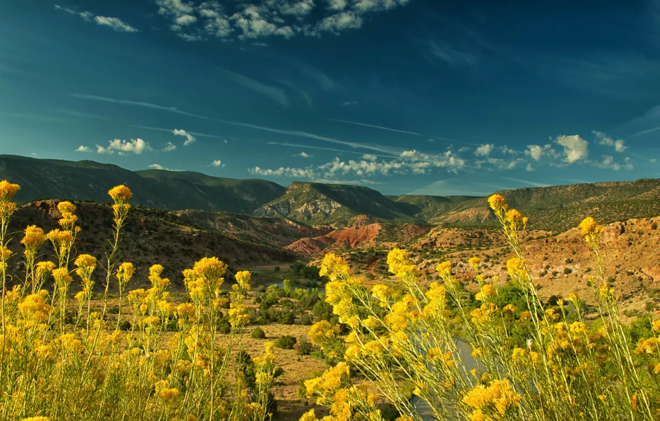 Photo wallpaper the sky, the sun, flowers, mountains, river, yellow, valley, USA