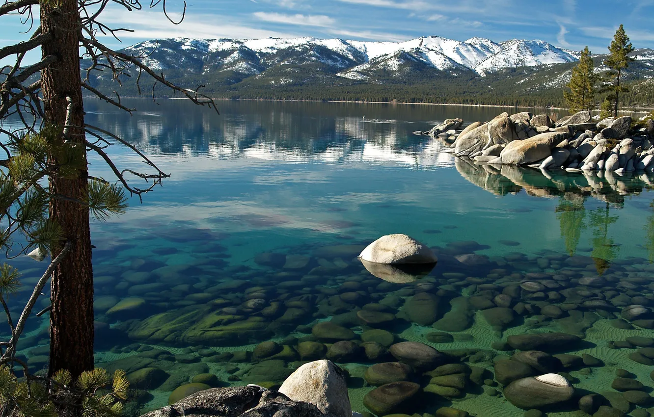 Photo wallpaper water, trees, nature, stones