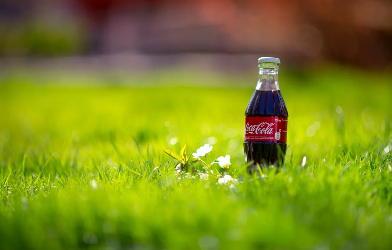 Photo wallpaper grass, macro, nature, bottle, spring, drink, Coca-Cola, Coca-Cola