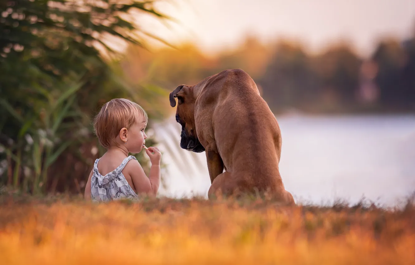 Photo wallpaper each, dog, girl, baby, bokeh, boxer