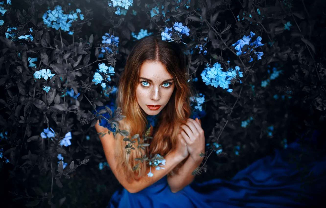 Photo wallpaper girl, flowers, freckles, blue-eyed, Ronny Garcia, Valentina Knight