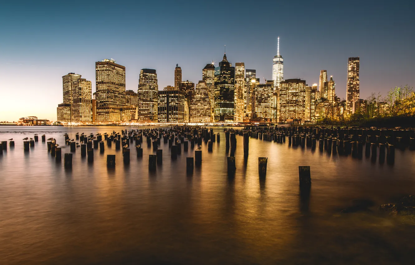 Photo wallpaper sea, home, skyscrapers