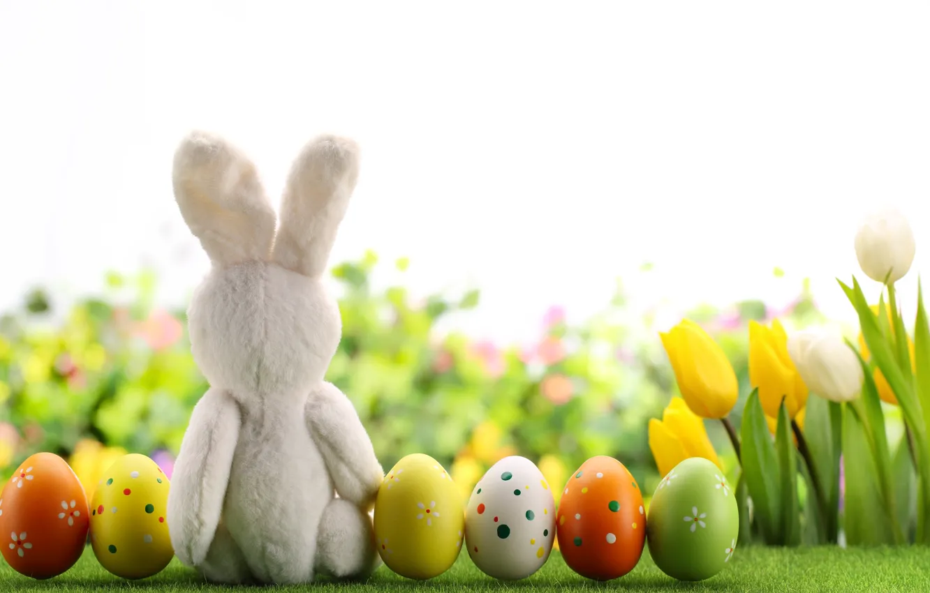 Photo wallpaper flowers, eggs, spring, rabbit, Easter, tulips, flowers, tulips