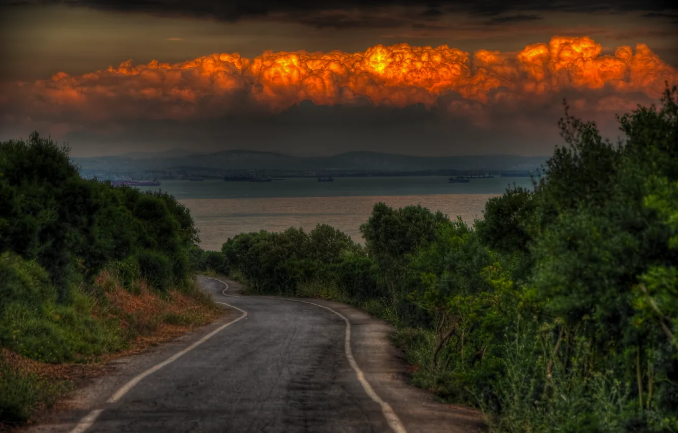 Photo wallpaper road, sea, the sky, clouds, trees, the evening, road, sky
