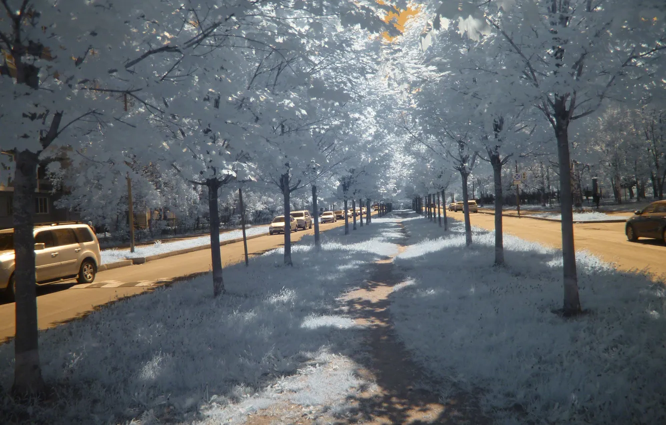 Photo wallpaper road, street, treatment, IR shooting