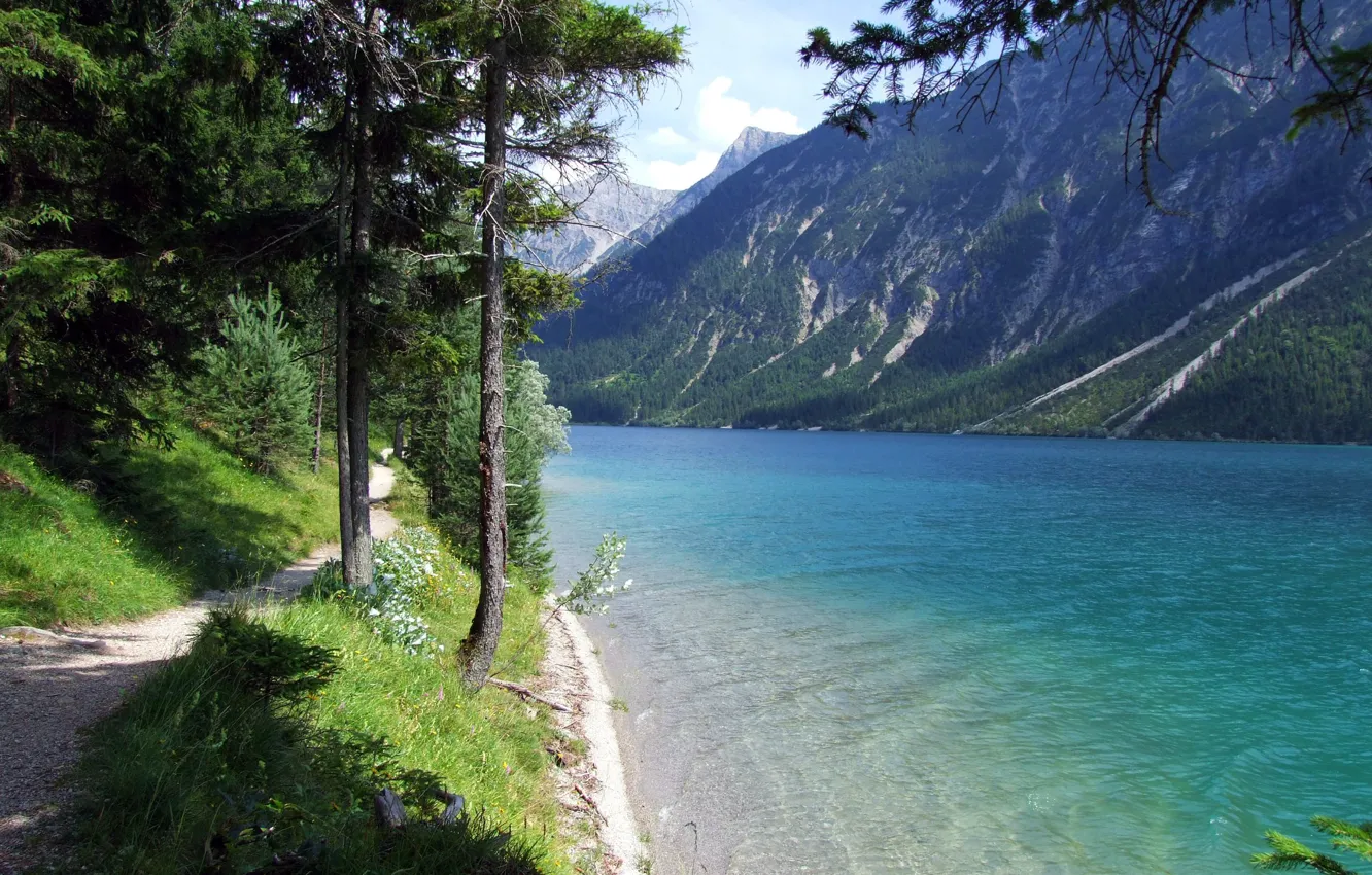 Photo wallpaper grass, water, trees, mountains, lake, shore, trail