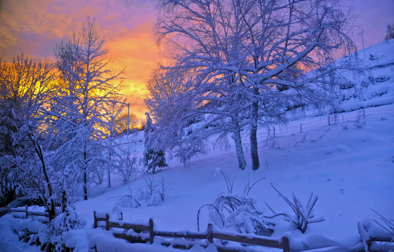 Photo wallpaper winter, snow, trees, sunset, tale, the evening, Pascal Laurent