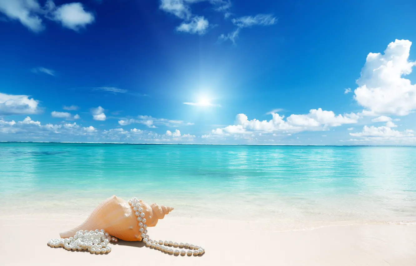 Photo wallpaper sunshine, beach, sea, sand, seashell