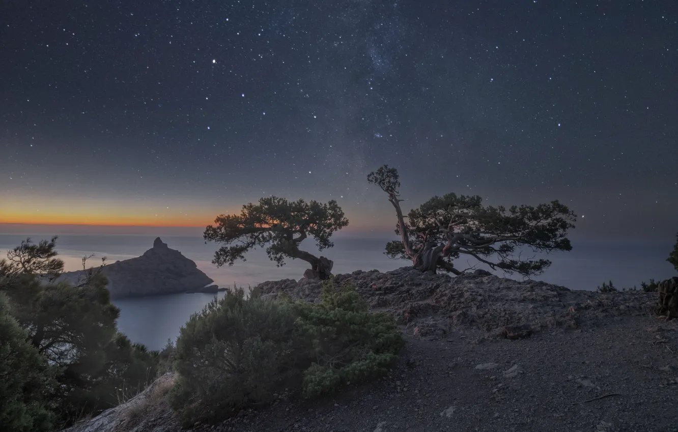 Photo wallpaper sea, the sky, trees, landscape, night, nature, rocks, stars