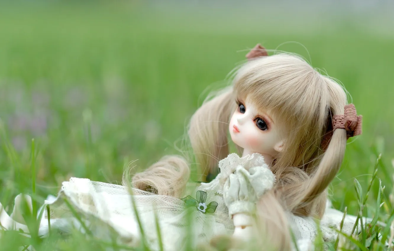 Photo wallpaper grass, toy, doll, dress, sitting, tails