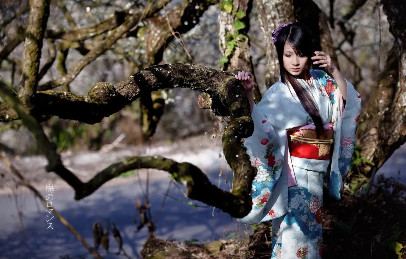 Photo wallpaper girl, trees, Japan, kimono